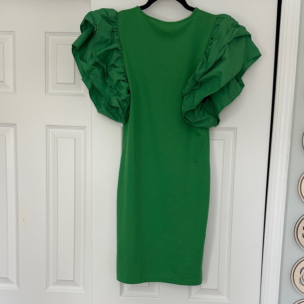 Zara Ruffle Sleeve Dress - Picture 4 of 4